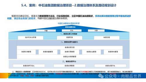構(gòu)建卓越數(shù)據(jù)資產(chǎn) XX集團數(shù)據(jù)治理體系建設(shè)方案之?dāng)?shù)據(jù)處理服務(wù)篇